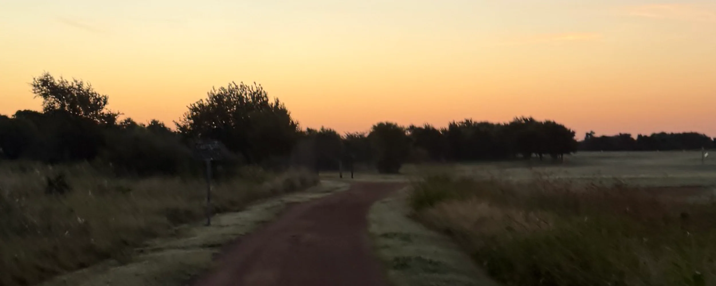 Morning Miles